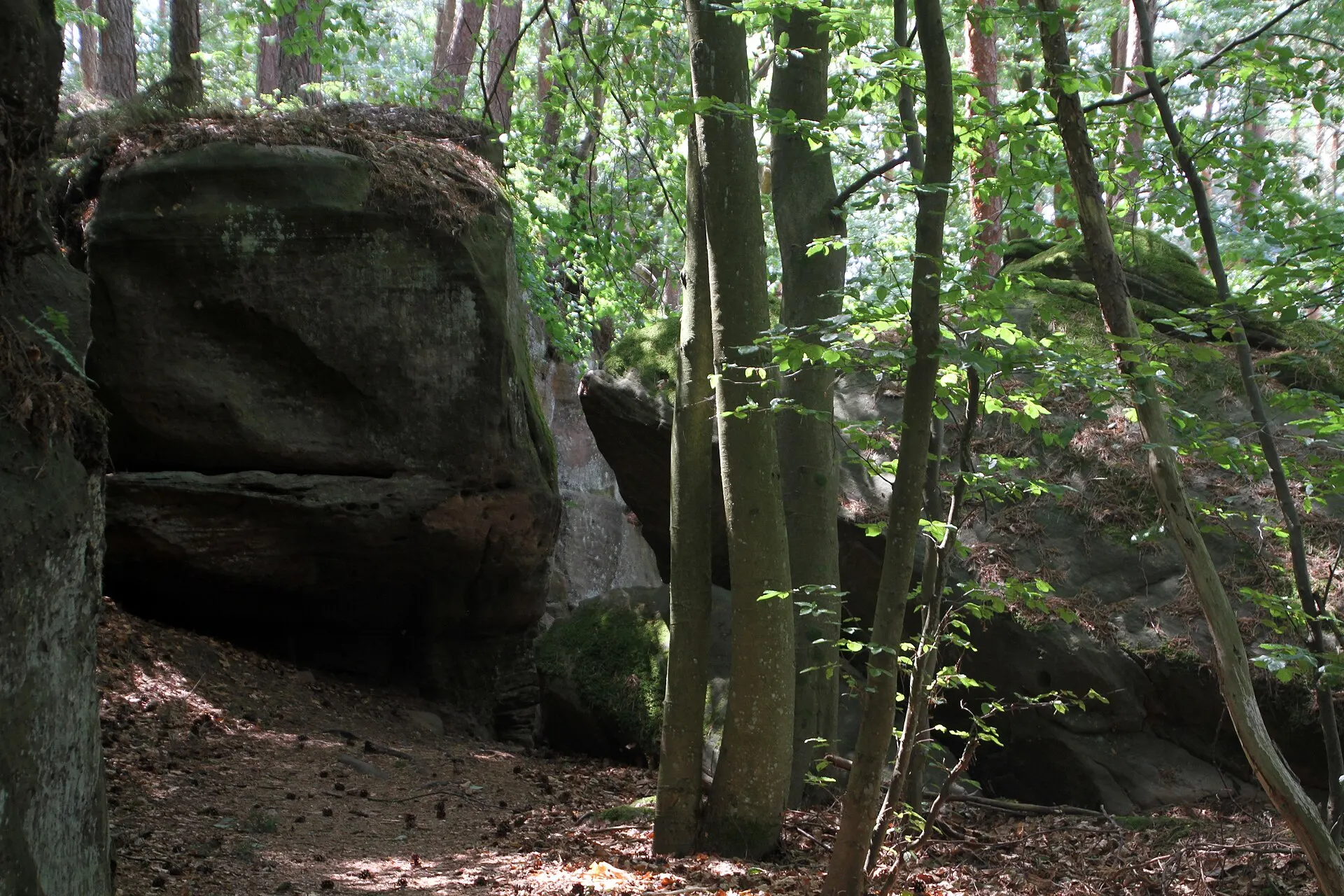 Buntsandstein-Felsen Drachenfels im Pfälzerwald