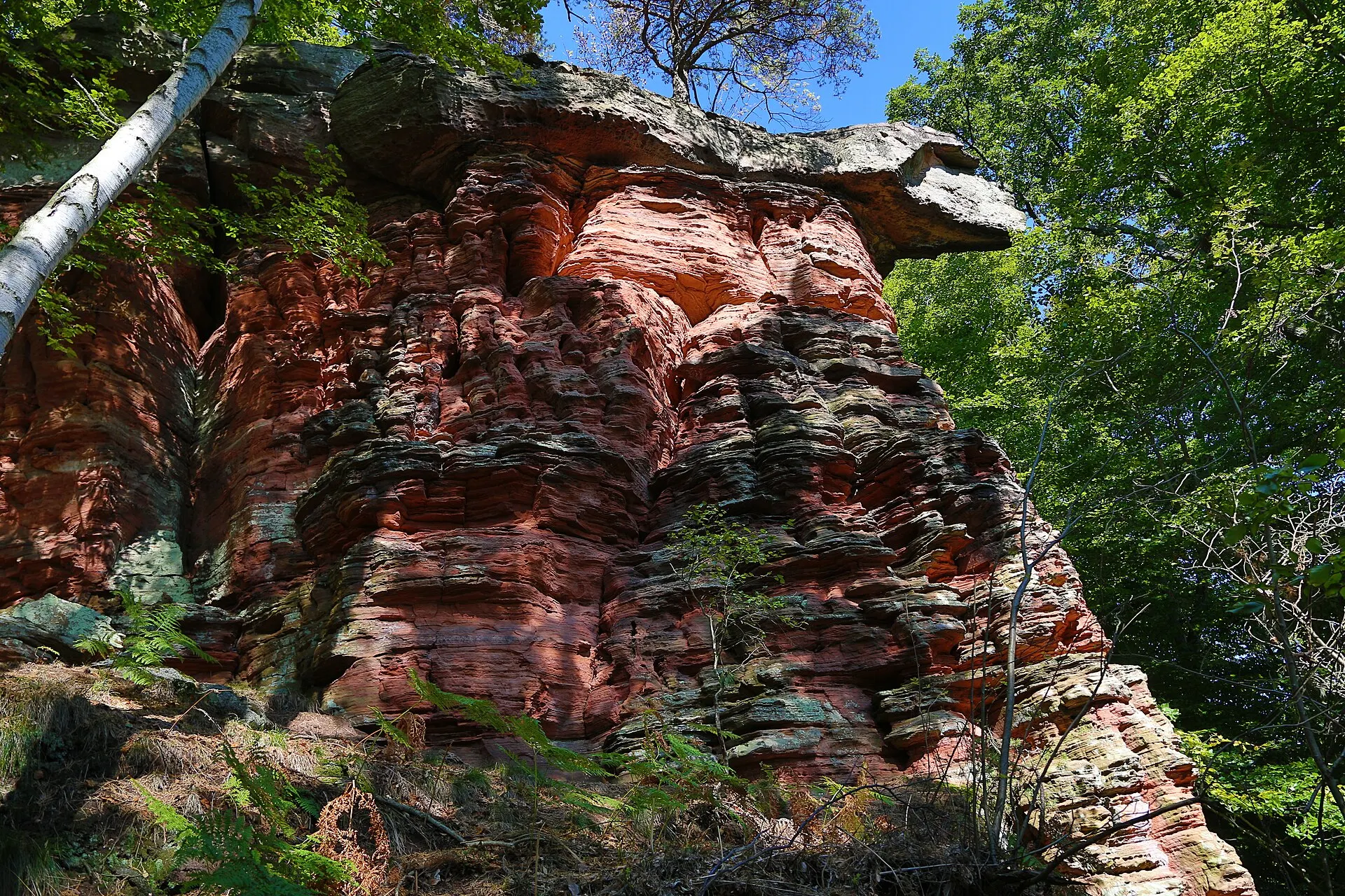 Buntsandsteinwand am Südfels des Drachenfels im Pfälzerwald bei Bad Dürkheim