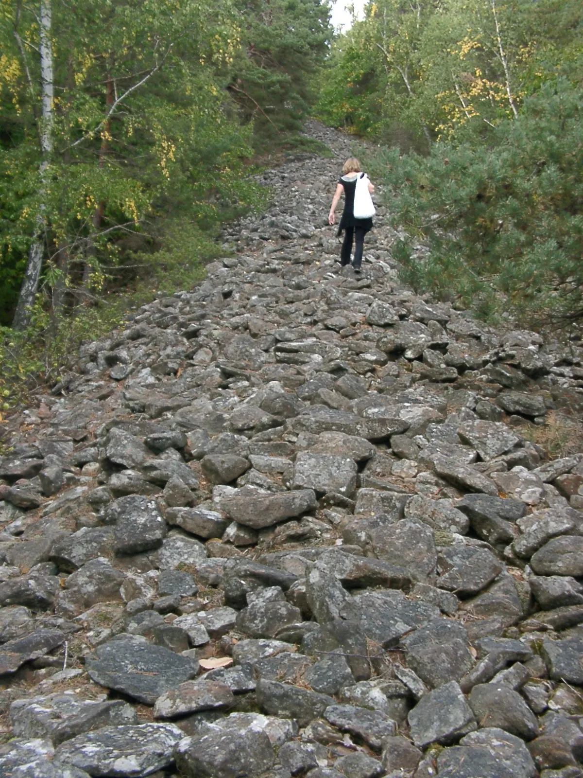 Heidenmauer und Teufelsstein im Pfälzerwald bei Bad Dürkheim