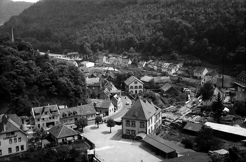Isenachtal und Stadtwald bei Bad Dürkheim